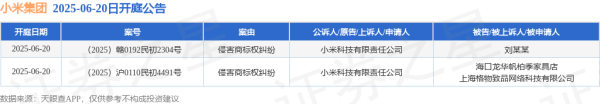日天金策略 小米集团作为原告/上诉人的2起涉及侵害商标权纠纷的诉讼将于2025年6月20日开庭