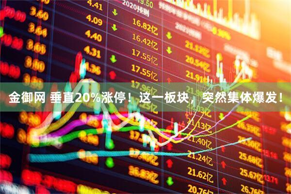 金御网 垂直20%涨停！这一板块，突然集体爆发！