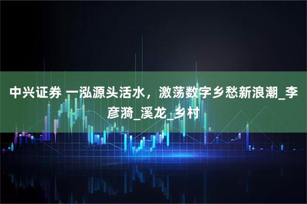 中兴证券 一泓源头活水，激荡数字乡愁新浪潮_李彦漪_溪龙_乡村