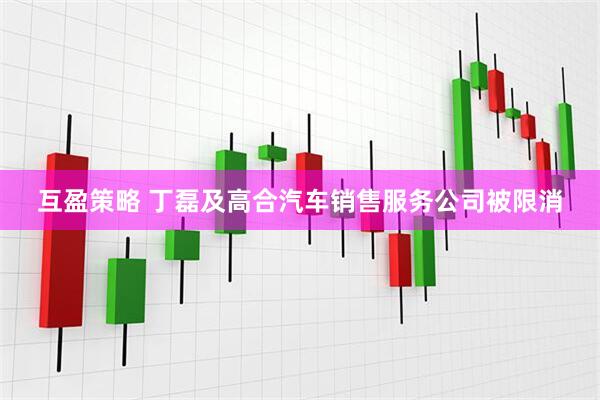 互盈策略 丁磊及高合汽车销售服务公司被限消
