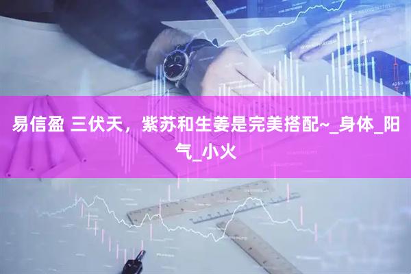 易信盈 三伏天，紫苏和生姜是完美搭配~_身体_阳气_小火