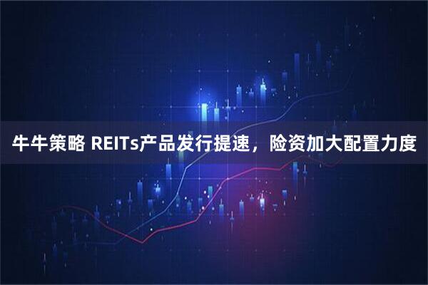 牛牛策略 REITs产品发行提速，险资加大配置力度